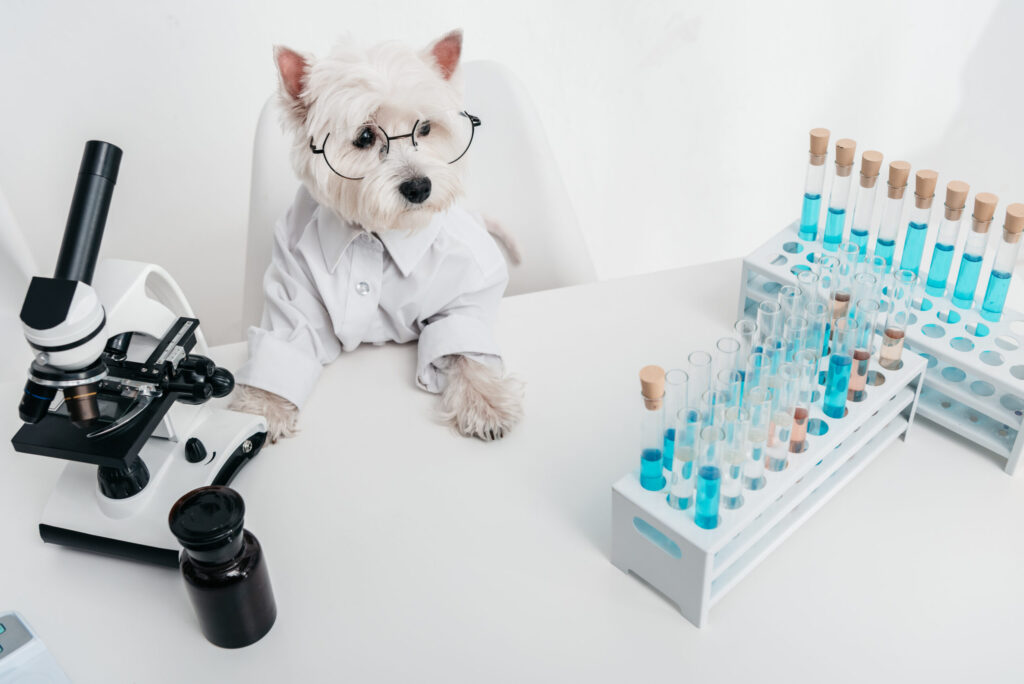 Careers / Job Openings Galbraith Laboratories, Inc.